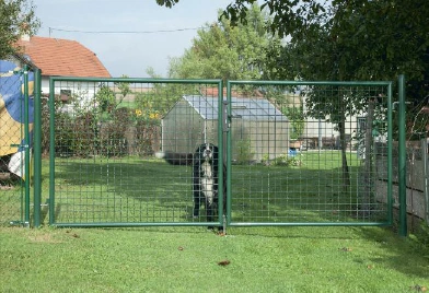 Soudés en acier galvanisé à chaud de Wire Mesh double aile Garden Gate