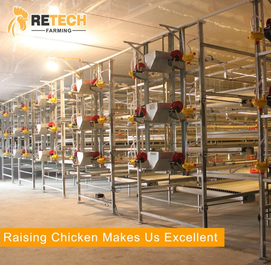 Broiler Poultry Farm Full Set Equipment for Chicken Feeder