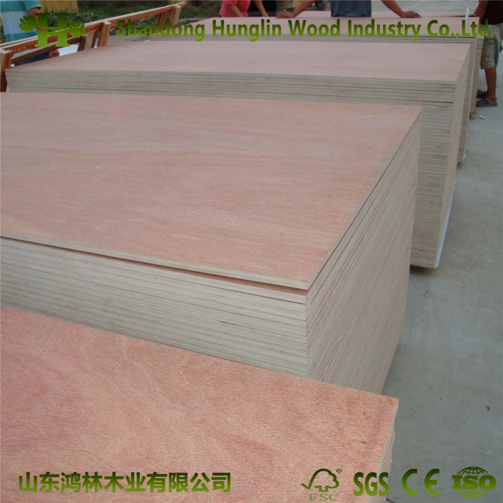 1220x2800mm Shandong bajo precio para el palet de madera contrachapada de grado de embalaje