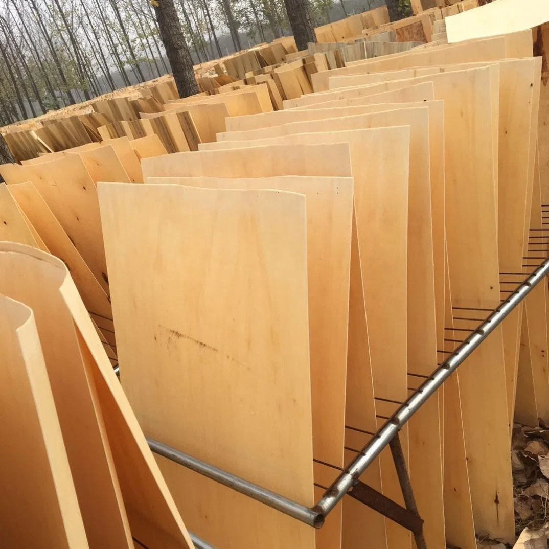 Rotar Paulownia/Birch/Oak/Poplar Wood Core Veneer Wholesale/Supplier