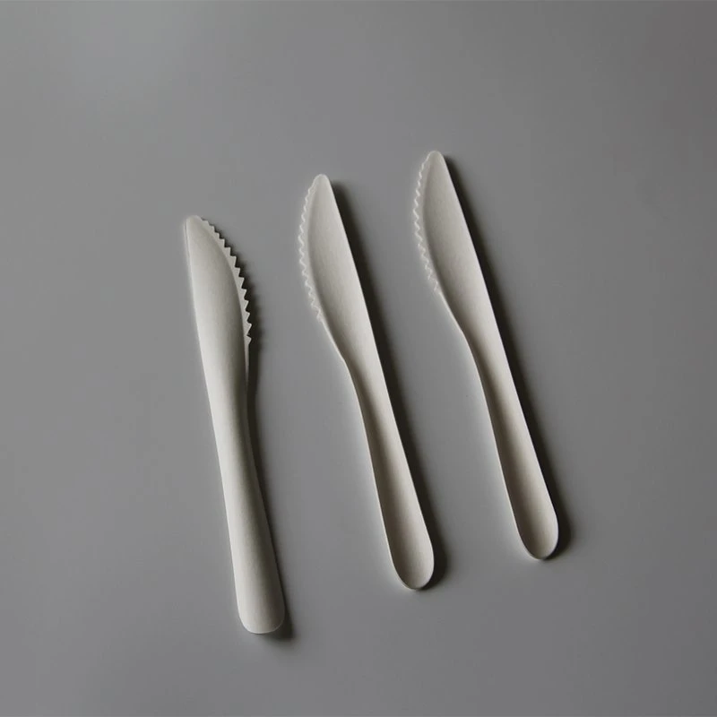 Disposable Paper Cutlery Set 100% Biodegradable Bagasse