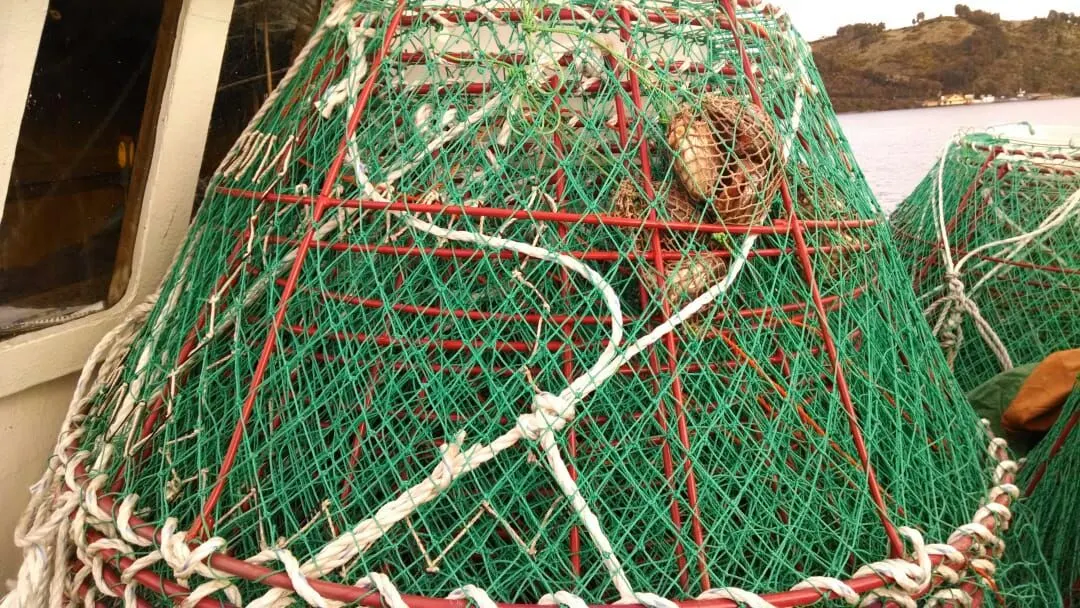 Crab Creel with Steel Frame for Fishing Tackles