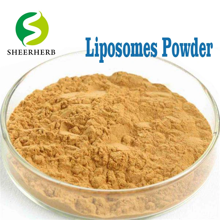 Sheerherb Factory Outlet Nano Liposome Vitamin C Powder