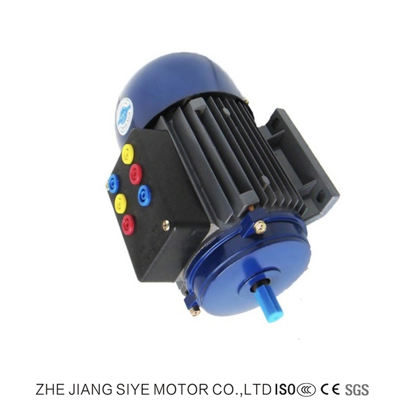 AC Single Phase Stepper Motors