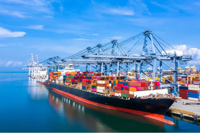 China Forwarder proporciona Agencia de Transporte de mercancías barato Mar para Rusia Servicio de envío