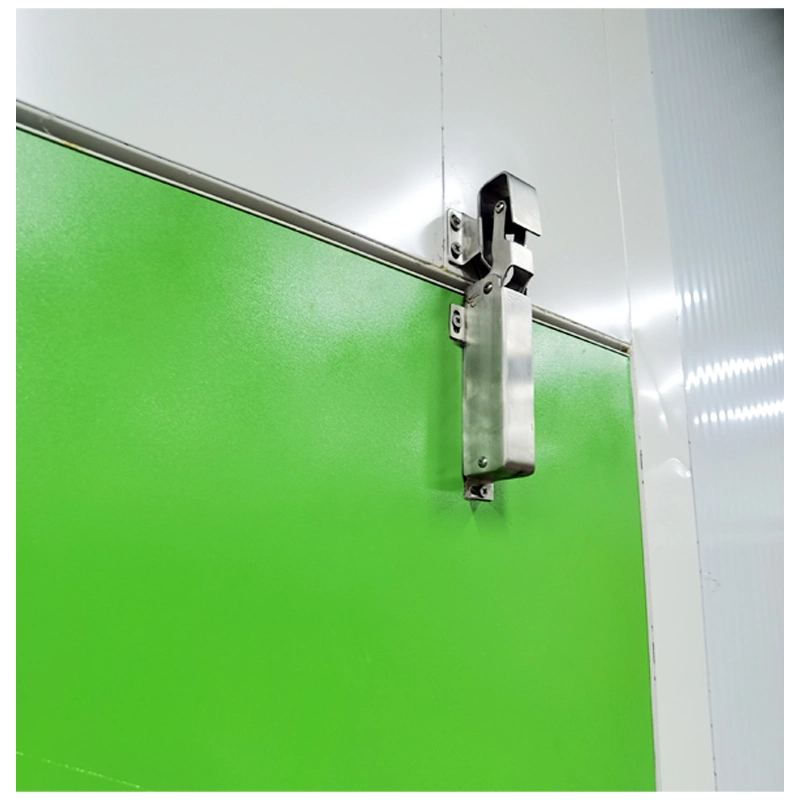 Customized Cold Room Insulation Automatic Return Door