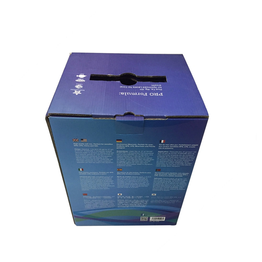 Colorful Packaging Gift Cardboard Box with Plastic Handle