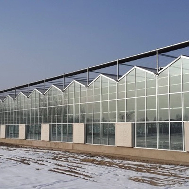 Large Size Waterproof Aluminum Agricultural Greenhouse Product