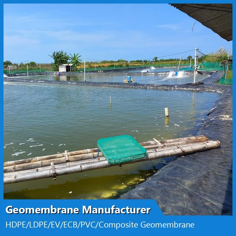 GM13 Standard 2mm HDPE Plastic Geomembrane Sheet for Large Fish Ponds Farm Tank