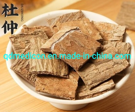 Dipsacus Asperoides (root) Raw Material Prepared Traditional Chinese Herbal Medicine Tonify Yang