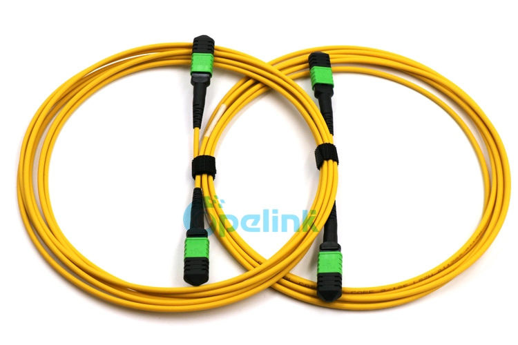 High Performance High-Density MPO-MPO Trunk Fiber Jumper with Factory Price