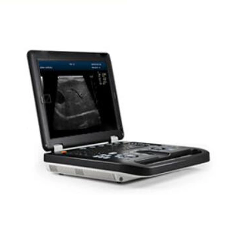 Full Digital Mechanical Sector Ultrasonic Diagnostic Instrument Veterinary Doctor Color 4 D Ultrasound Portable for Vet