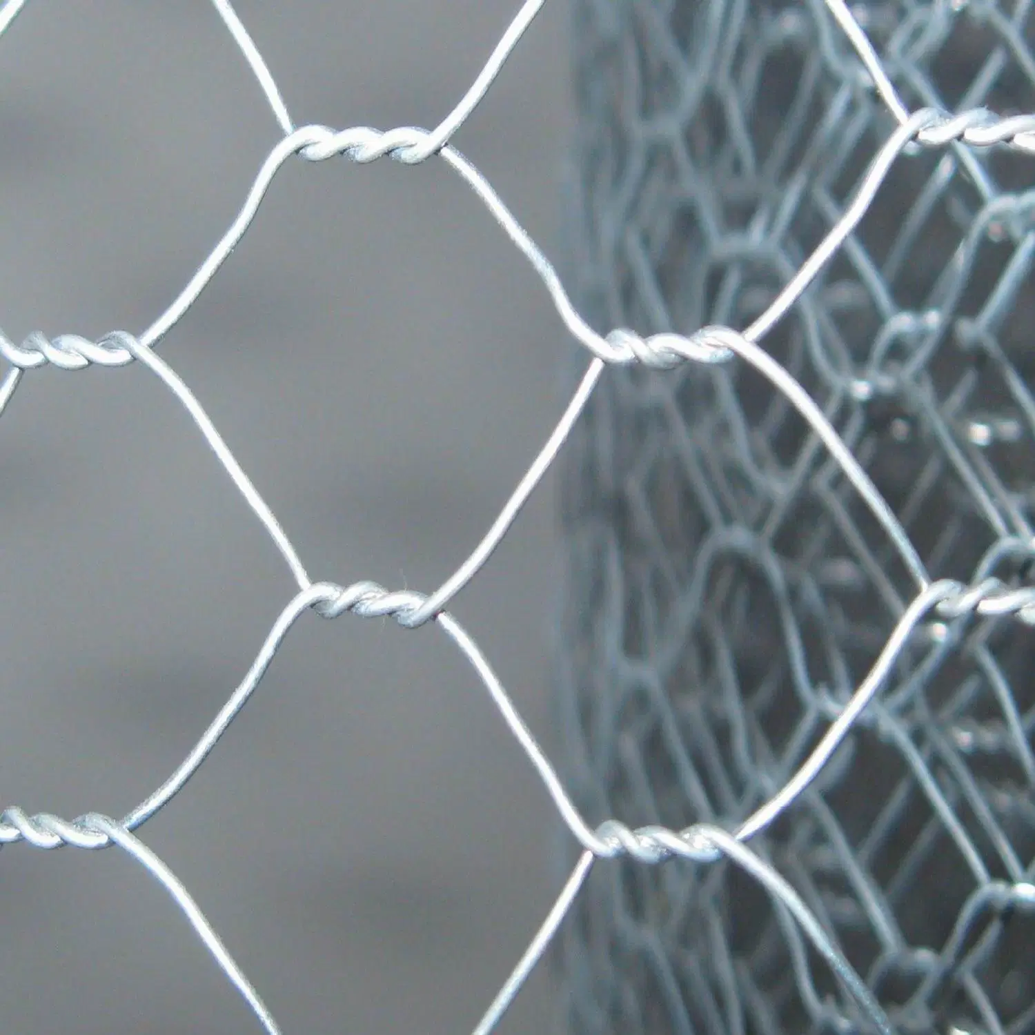 PVC /Stainless Steel/Galvanized Hexagonal Wire Mesh for Poultry Fence Mesh