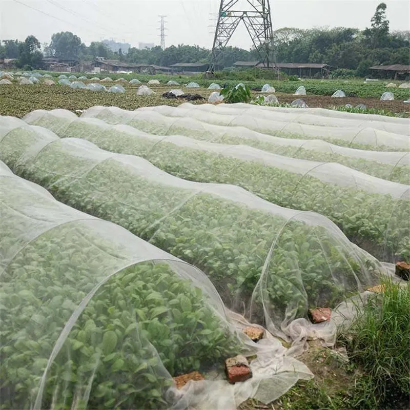 Bom Preço 100% de HDPE plástico UV transparente Inseto com efeito de estufa e a tela de Mosquito Agricultura Inseto Malhagens