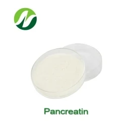 Potenciadores de nutrição pancreatina enzima pancreatina fonte glândulas Pancereas porcinas