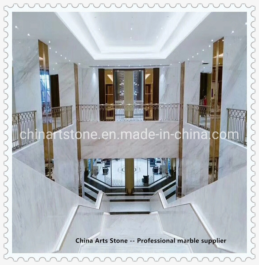 Bianco Calacatta White, Arabescata White Marble for Stair Step and Tile