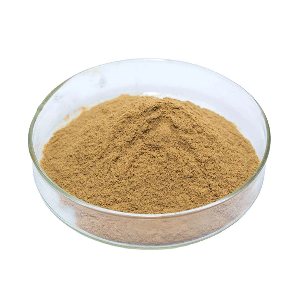 Plant Extract High quality/High cost performance  Purity Plant Extract Maca Extract 10: 1 Brown Yellow Powder for Male Health Care Maca Root