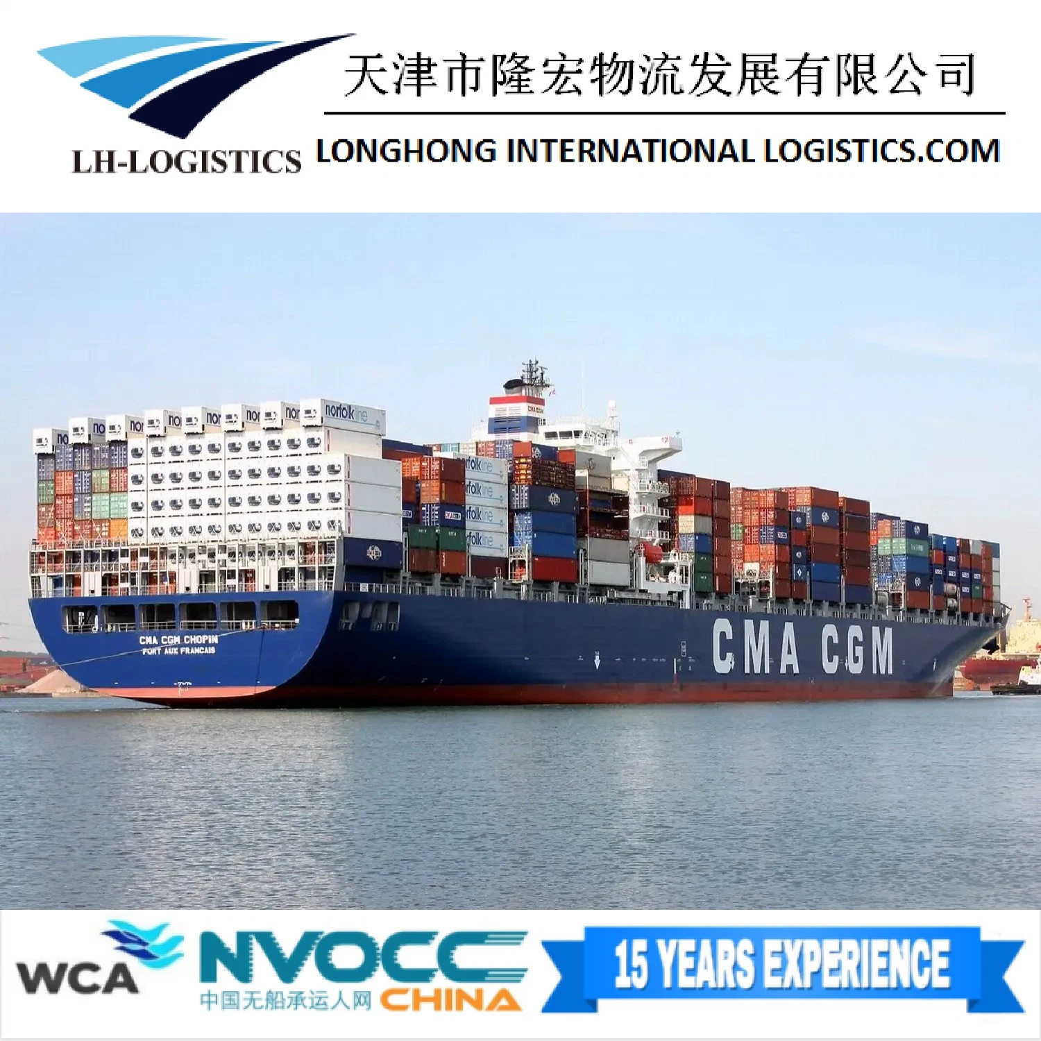 Professional Sea Freight Forwarder Agent Shipping From China to Dar Es Salaam, Africa