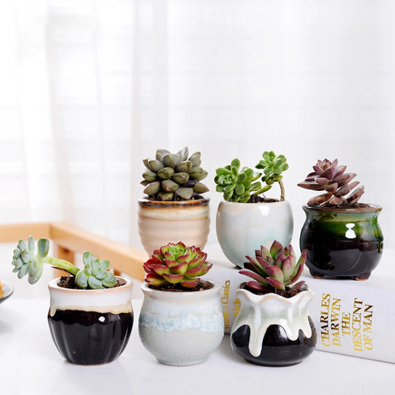 Mini Pot Creative Succulent Thumb Pot Cute Round Ceramic Flower Pot