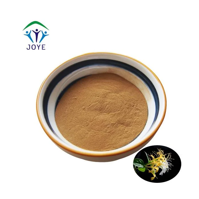 Pure Chlorogenic Acid 5% - 98% Wild Honeysuckle Flower Extract Powder
