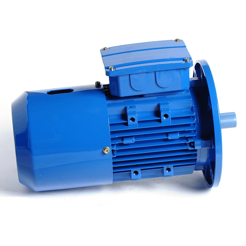 Original Factory 0.75kw Three Phase Induction Motor 750rpm