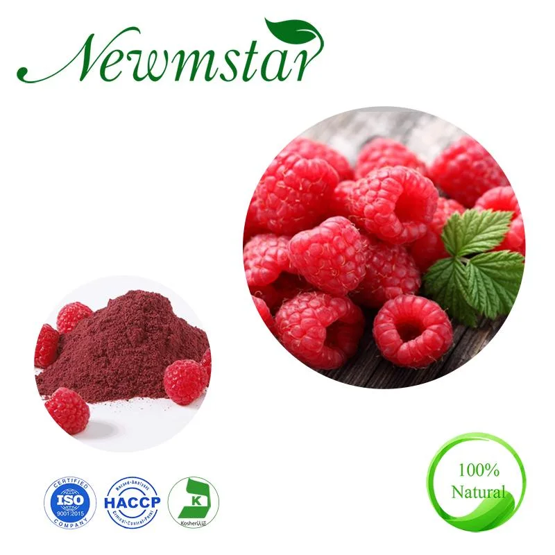 2022 Whole Sale Plant Extract Raspberries Extract Powder/Raspberry Ketone Extract