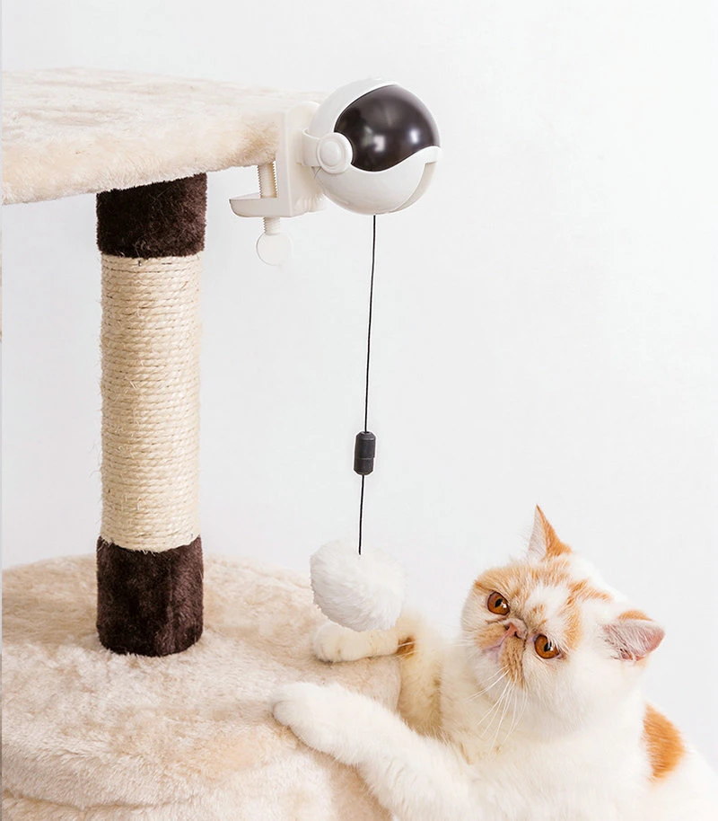 360 grados elevación automática Eléctrica Rolling Interactive Pet Cat y. Bola de juguete con cuerda y bola de arados Wbb18604