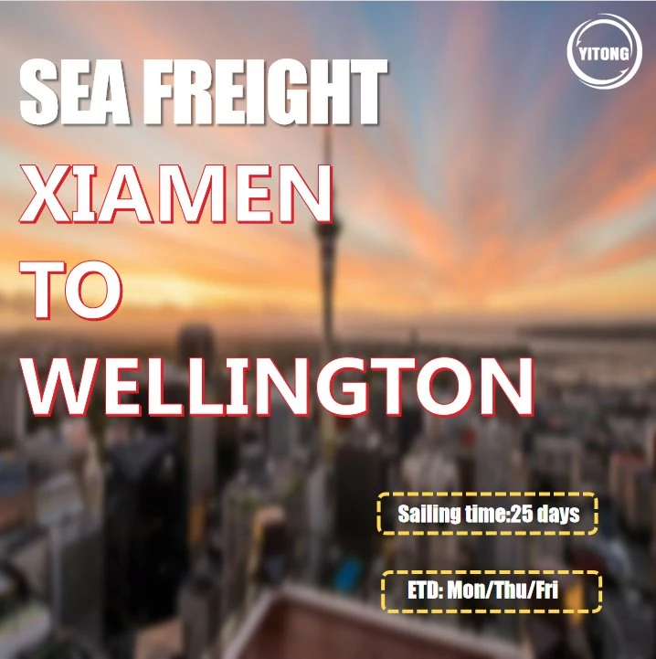 Maritime Freight From Xiamen to Wellington New Zealand