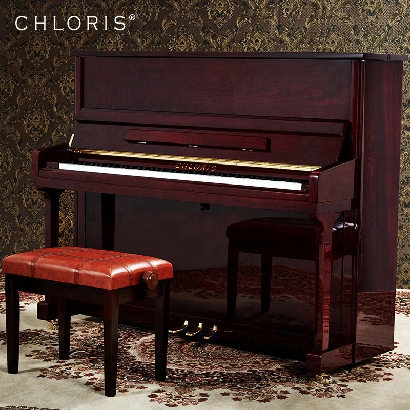 Chloris Piano Mahogany Wooden Upright Piano Hu-123m Customize Color