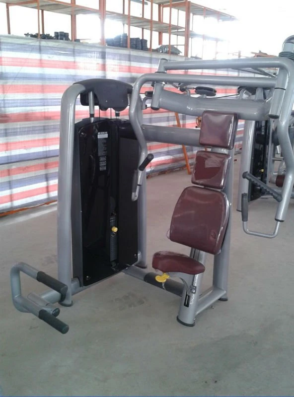 Health Club Fitness Equipment / Body Exercise