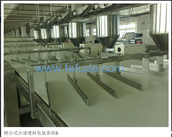 Tefude Automatic Feeding Packing System Customized