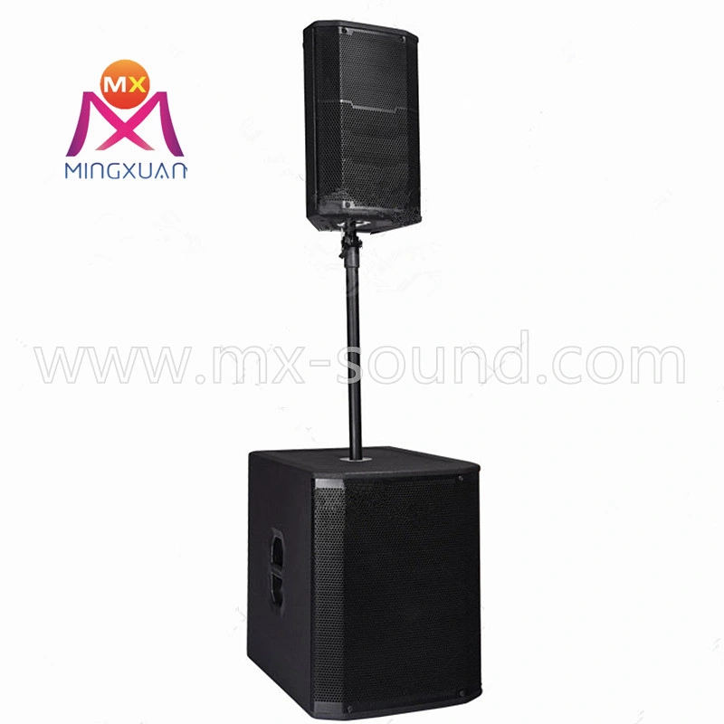 1000W Professional Speaker for Outdoor Sound System