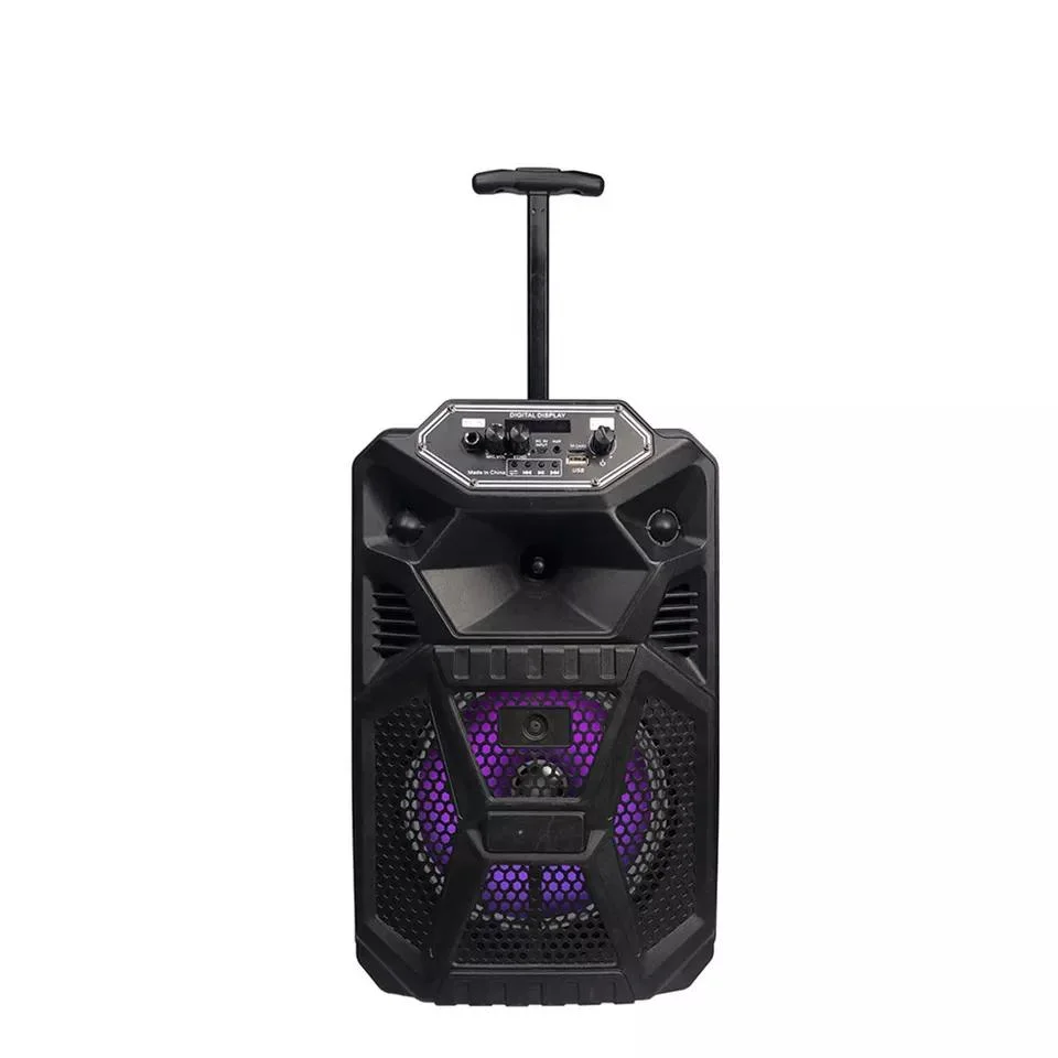 Nouveau style extérieur sans fil haut-parleur portable 8 pouces avec chariot de lumière LED Karaoké DJ parlante avec micro haut-parleur Bluetooth