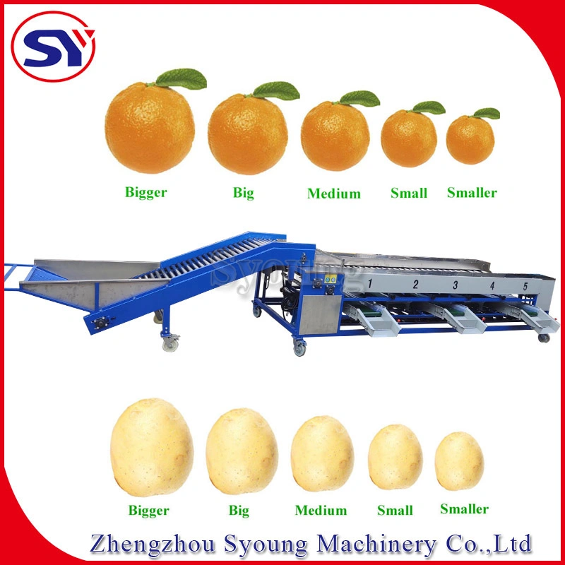 Máquina de clasificación de frutas frescas blandas Sizing por diámetro