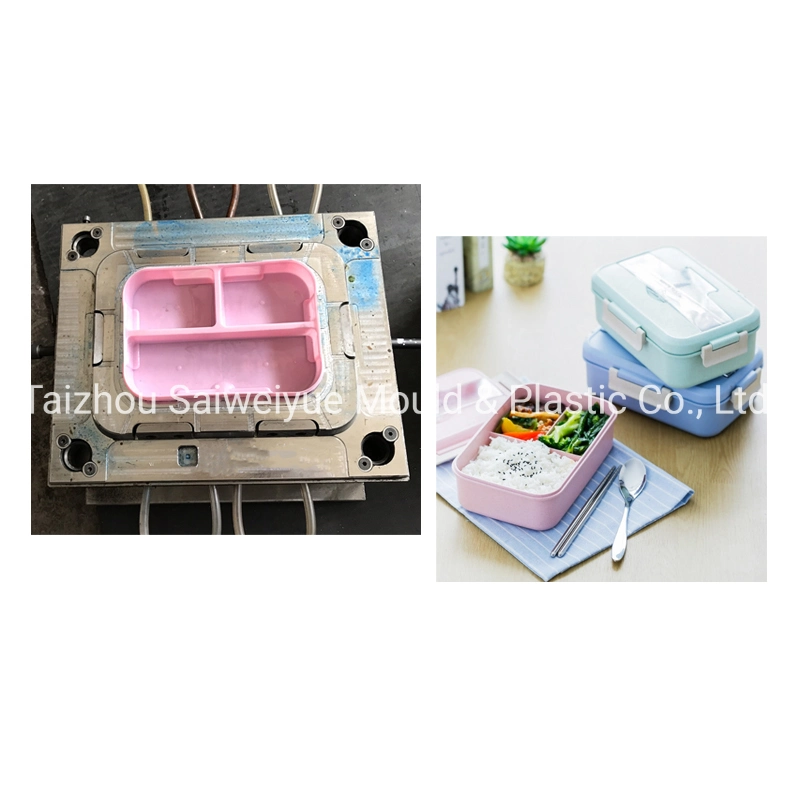 Compartment Food Container Box Injection Mold Plastic Separate Bento Lunch Box Mould