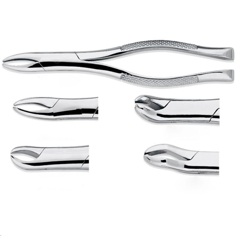 Stainless Steel Dental Examination Surgical Tools Dental Instruments Forceps