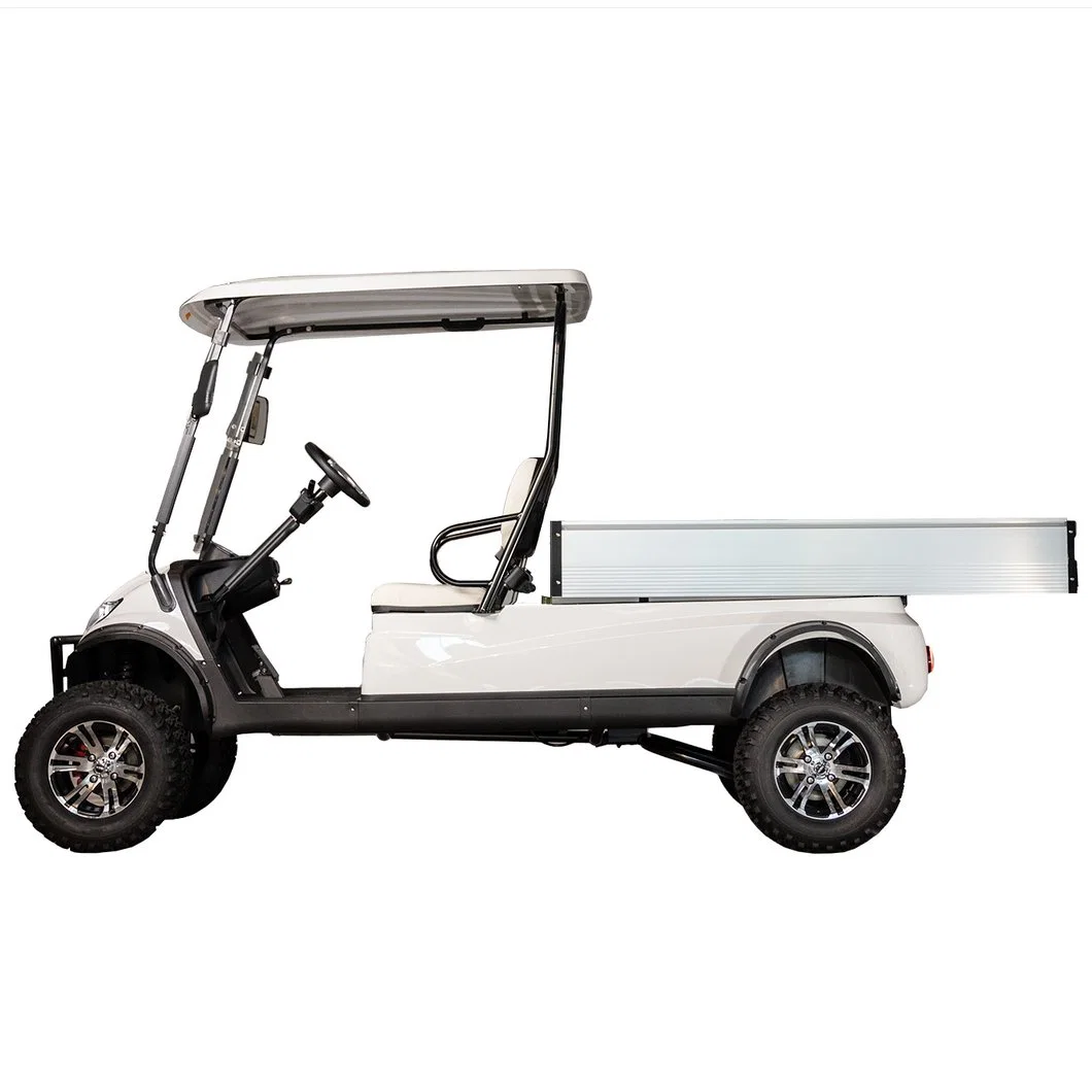 Battery Powered Golf Cargo Buggy 2 Seater Electric Cart Hotel Car