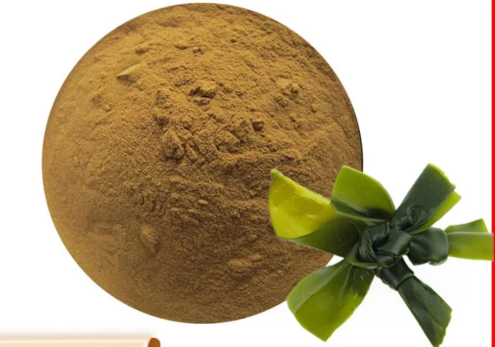 Laminaria Japonica Extract Laminarin 50% Kelp Polysaccharide