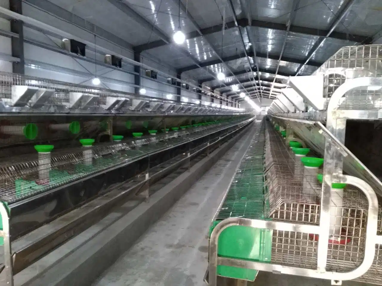 Prefabricated Economical Steel Structure Turnkey Poultry House Equipment for Breeder Chicken