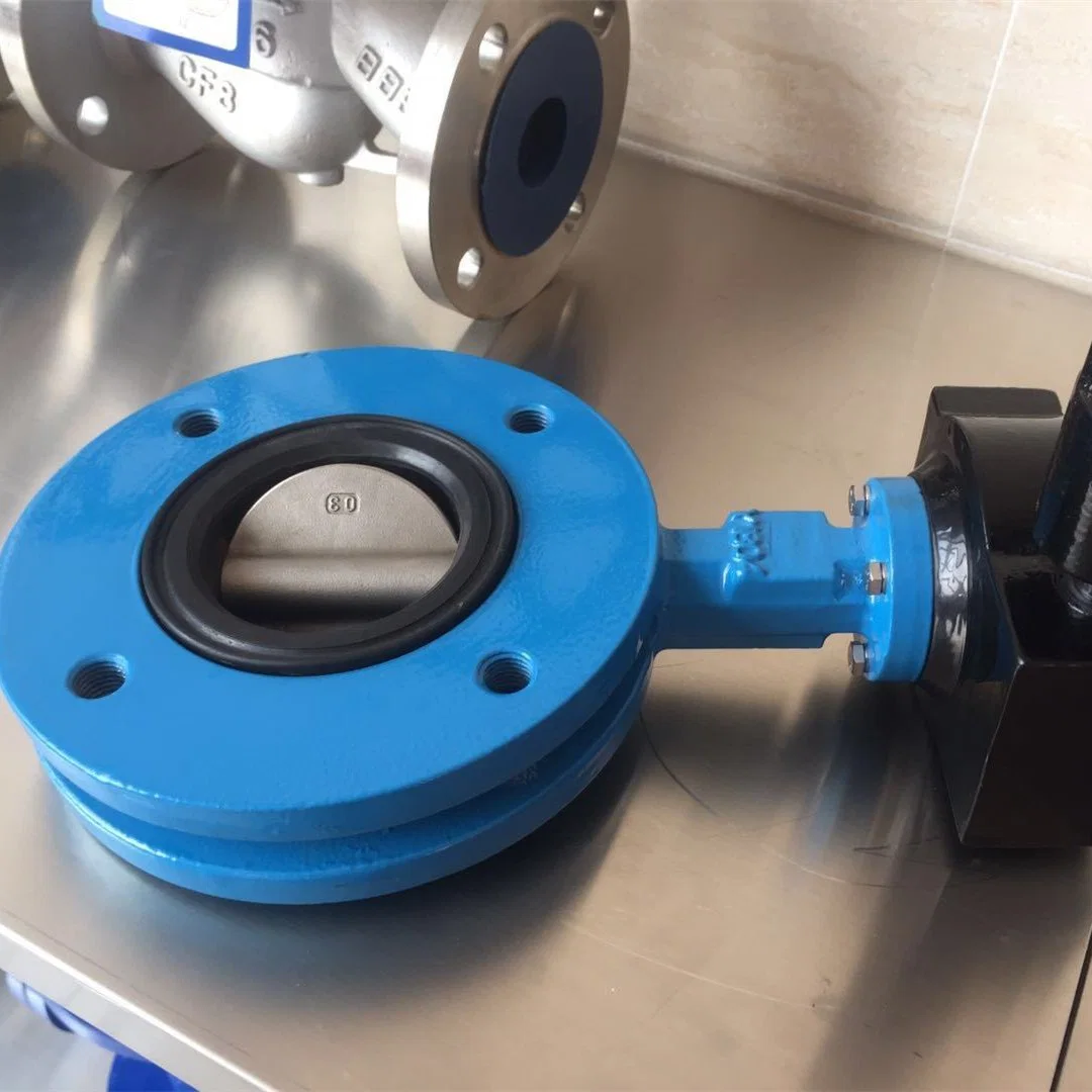 Water Treatment 4inch Leak-Free Handle Manual Ductile Iron Flg Butterfly Valve