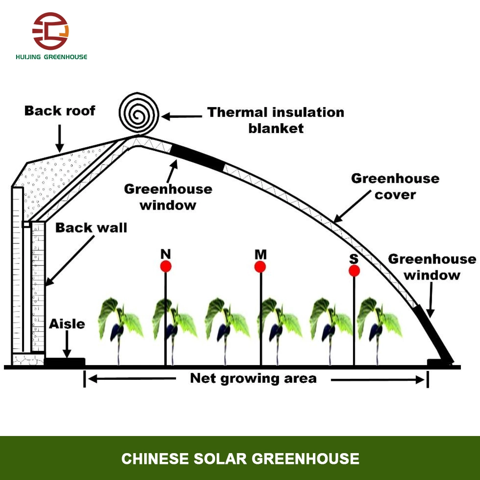 Energieeinsparung in der Landwirtschaft Passives Solargewächshaus für Gemüse/Obst