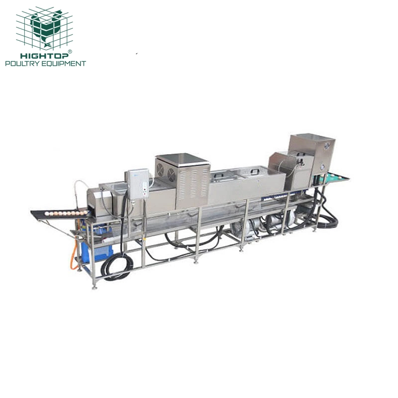 Industrial Simple Egg Weight Cleaning Packing Grading Machine For Chicken Farm