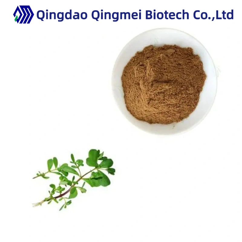 مواد التجميل الدرجة الطبيعية الأعشاب مستخرج Portulaca Oleracea 90083-07-1