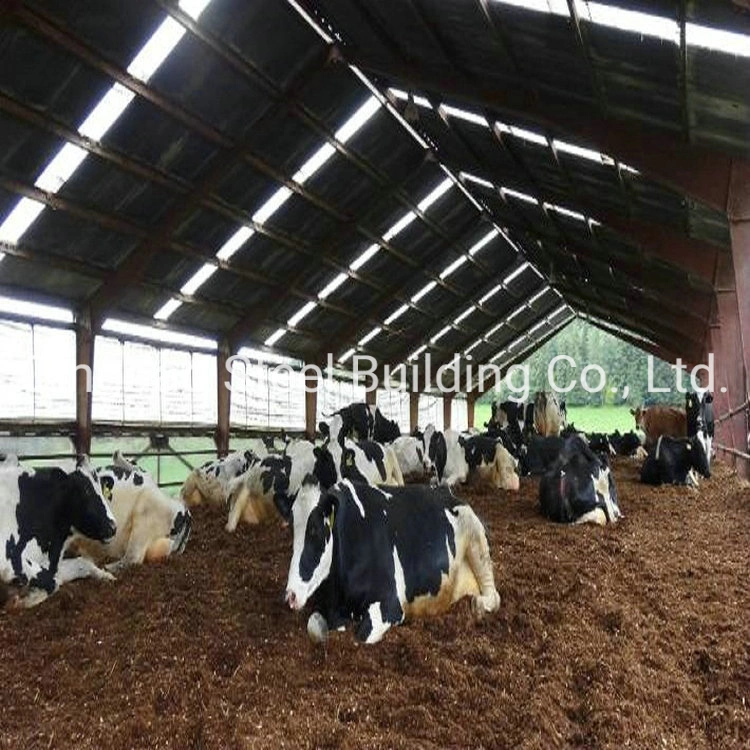 Estructura de acero ligero prefabricada Granja de vacas Cascada de ganado Edificio de Metal