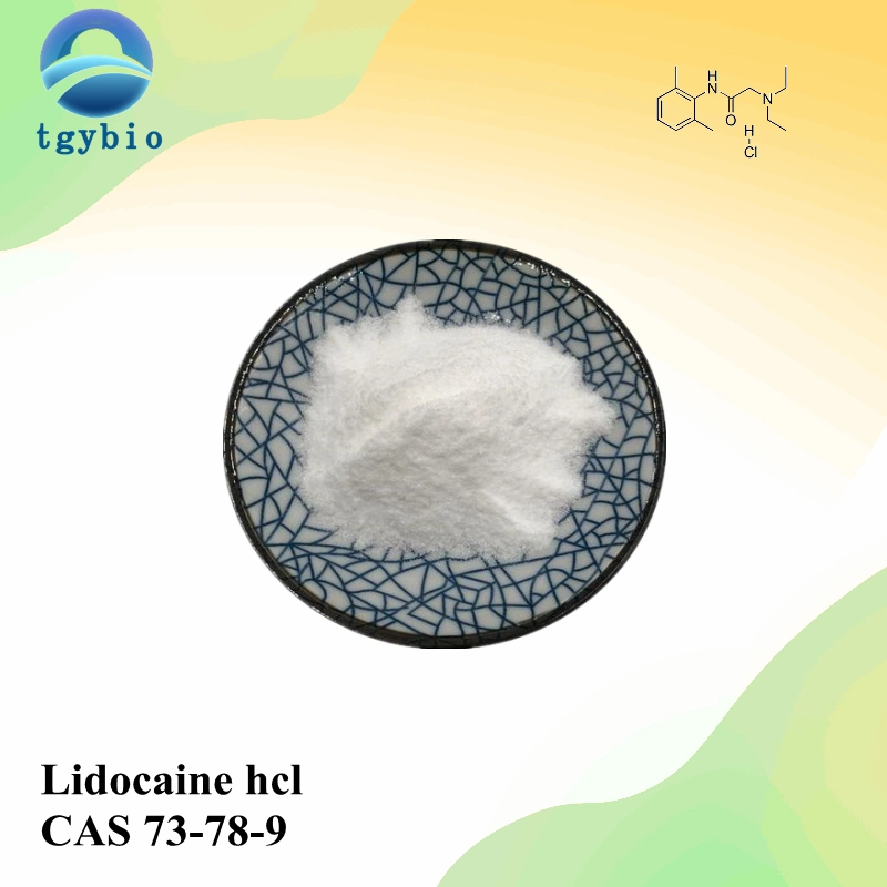 Factory Supply 99.5% Purity Lidocaine Hydrochloride/Lidocaine HCl Powder