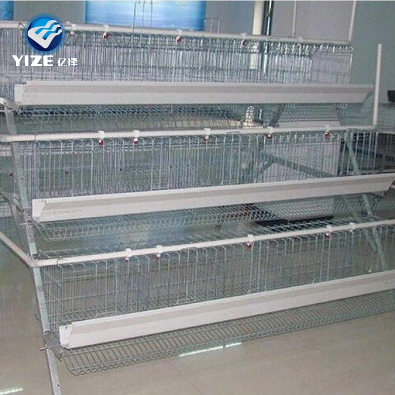 China fábrica Fabricación Venta caliente Gallinero jaula Pet