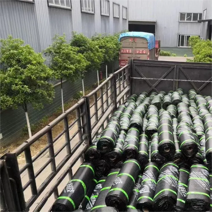 China membrana impermeável de asfalto na fábrica de polímero de compósito poliéster Material enrolado para Casa Do telhado do Prédio do túnel ferroviário do Material de impermeabilização