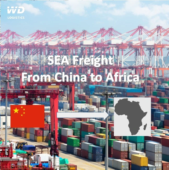 Shipping Agent From China to Costa Rica, Cuba /Sea Freight From Tianjin, Qingdao, Shanghai, Ningbo, Shenzhen to San Jose, Puerto Limon, Vita/Cabanas/Ceiba Hueca