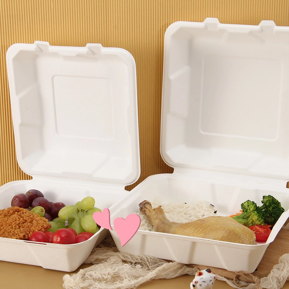 Factory Wholesale Disposable Tableware High Quality Food Container for Hamburg Salad