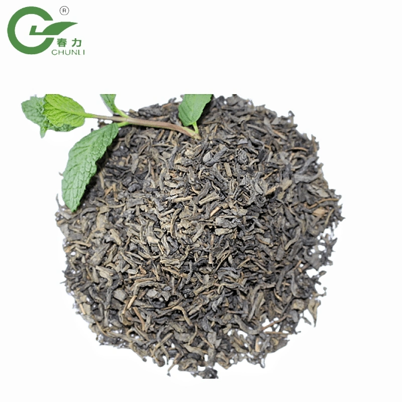 Chinese Factory Wholesale/Supplier Best Aroma and Taste 9371AAA Oishi Green Tea for West Middle East